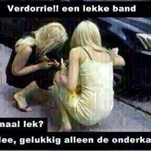 lekke band.jpg