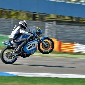TZ334.jpg