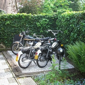 P1010433.JPG