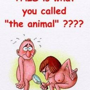 animal.jpg