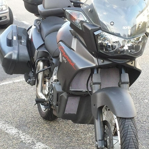 rooster capo.jpg
