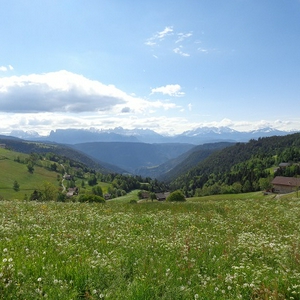 D71.jpg