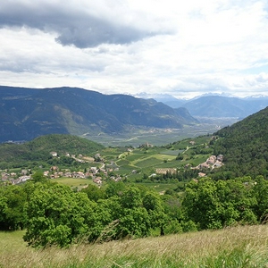 D74.jpg