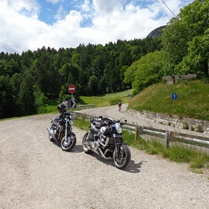 D75.jpg