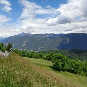 D76.jpg