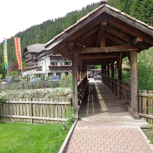 D82.jpg