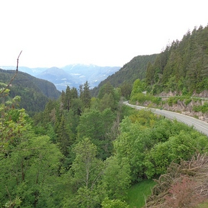 D86.jpg