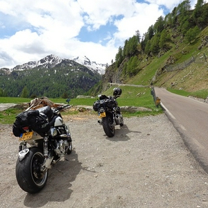 D87.jpg