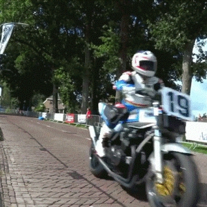 Freddie 1.gif