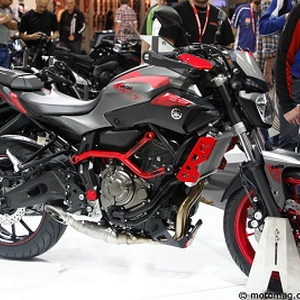 arton26767.jpg