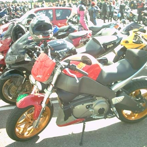 IM002562.jpg