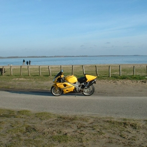 TLR posing.jpg
