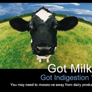 got milk.JPG