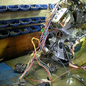DSCN5415.JPG