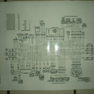 DSCN5438.JPG