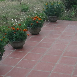 TET bloemen.jpg