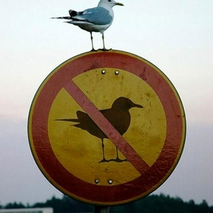 perfectly-timed-photos-part2-28.jpg