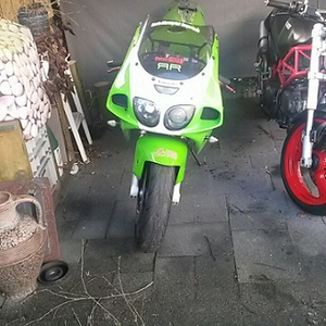 zx7r