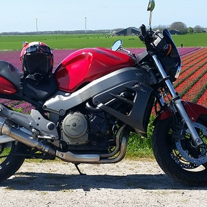20150427_143636 klein.jpg