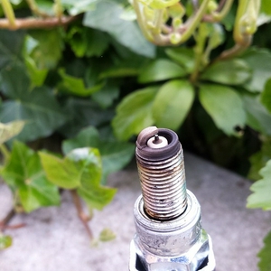 20150517_160633.jpg