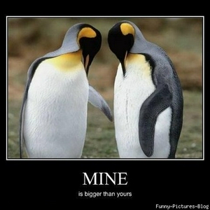 3352-Mine-is-bigger-than-yours.jpg