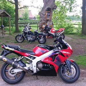 foto2