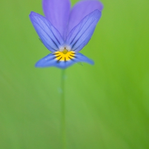 DSC_2186.jpg