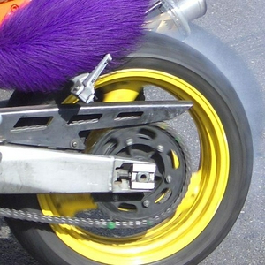 mmIMGP0233.jpg