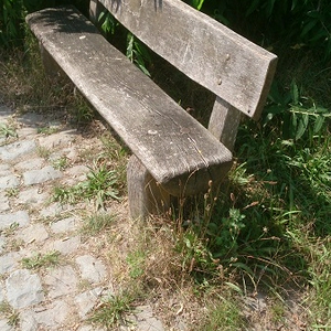 DSC_1159.JPG