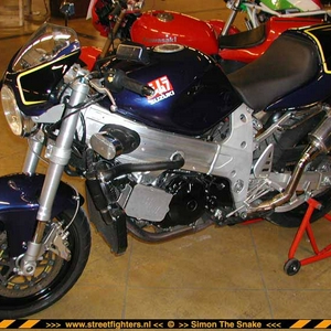 TL 1000 R 1.jpg