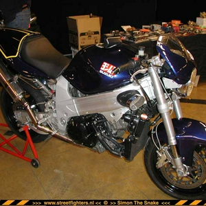 TL 1000 R.jpg