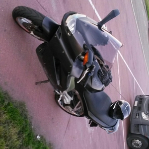Fuut