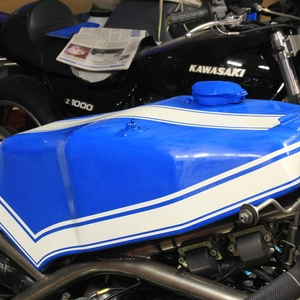 TZ403.jpg