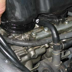 IMG_3142_resize2.jpg