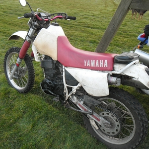 SAM_5489.JPG
