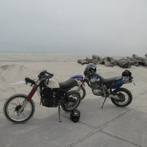 SAM_5490.JPG