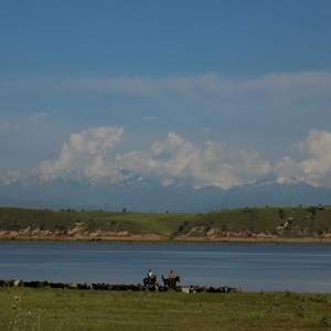 Uzgun 1