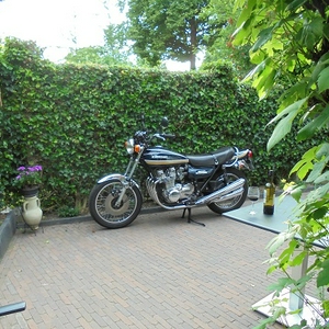 DSC00084.JPG