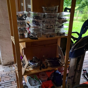 IMG_20160621_111729.jpg