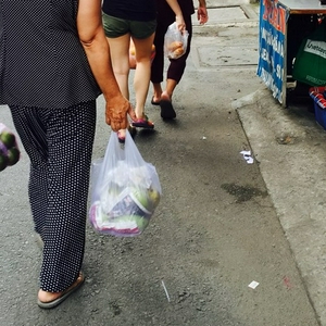 Plastic bag.jpg