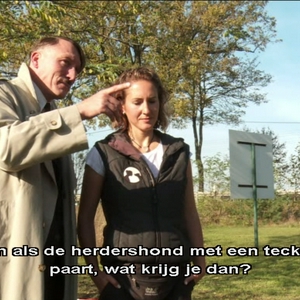 kruising herder en teckel.jpg