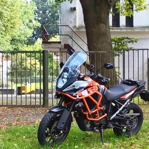 2016_24.jpg