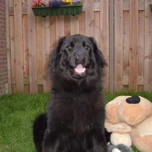 2004_0619Caroe0036.JPG