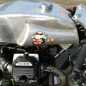 PaulusRacing.JPG