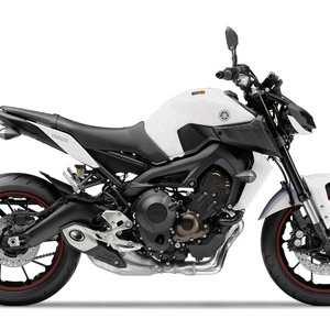 Witte MT09 shop