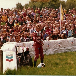 tt2.jpg