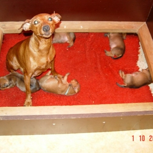 DSC00777.JPG