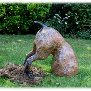 hond1.jpg