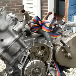 NC23 (11)