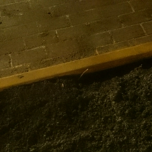 DSC_2014.JPG